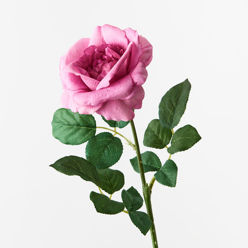 Fresh Touch Rose Astrid Mauve 65cml #FI8899MV - Each