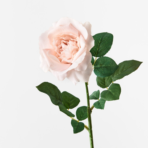 Fresh Touch Rose Astrid Soft Pink 65cml #FI8899SP - Each TEMPORARILY UNAVAILABLE