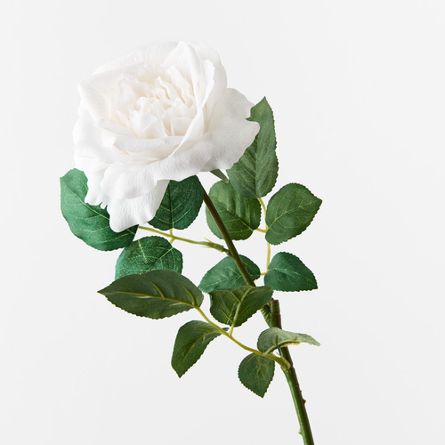 Fresh Touch Rose Astrid Winter White 65cml #FI8899WW - Each 