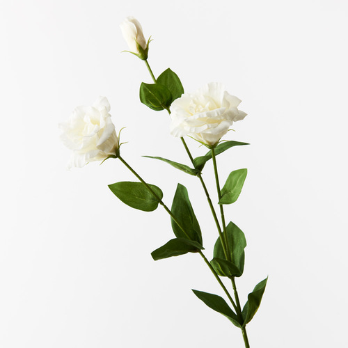 Lisianthus White 72cml #FI8905WH - Each (Upkgd.) 