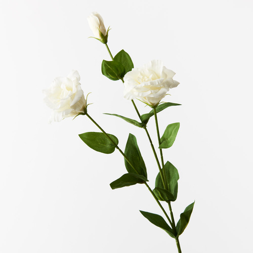 Lisianthus White 72cml #FI8905WH - Each (Upkgd.)