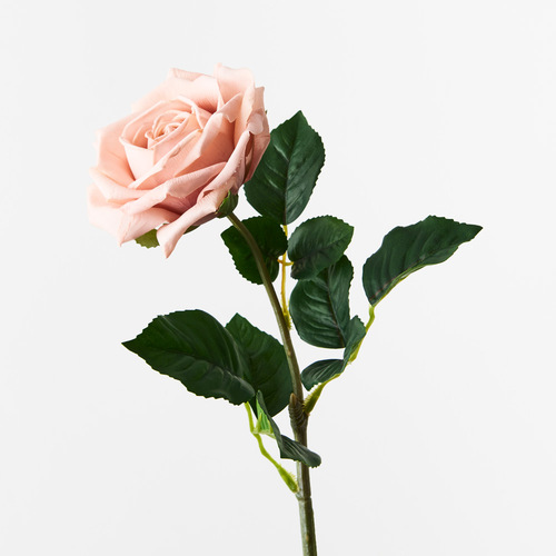 Fresh Touch Rose Clara Blush 60cml #FI8906BS - Each