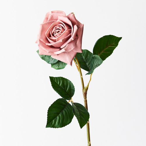 Fresh Touch Rose Clara Dusty Pink 60cml #FI8906DP - Each
