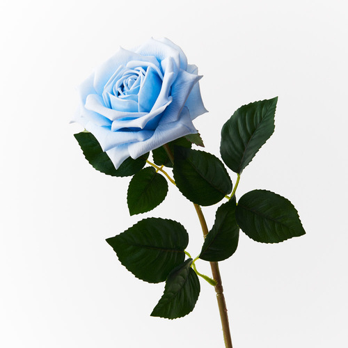 Fresh Touch Rose Clara Ice Blue 60cml #FI8906IB - Each 