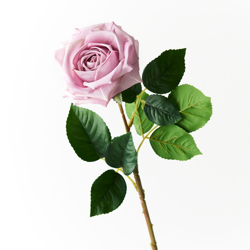 Fresh Touch Rose Clara Lavender 60cml #FI8906LV - Each 