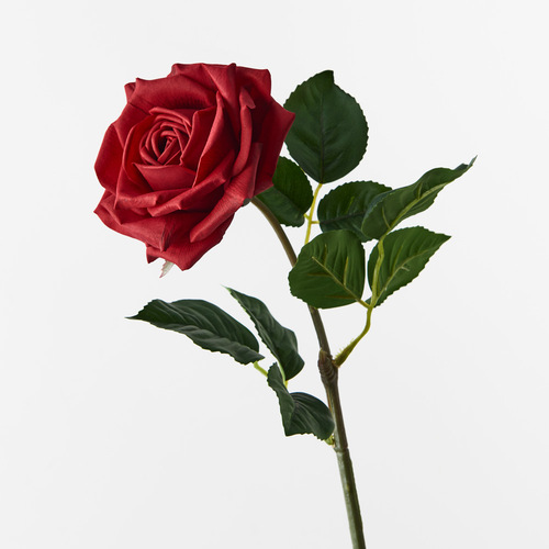 Fresh Touch Rose Clara Red 60cml #FI8906RD - Each 