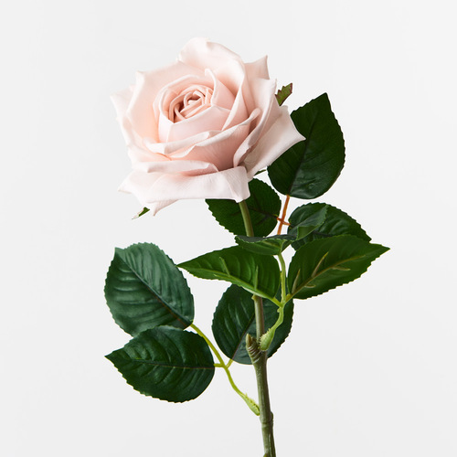 Fresh Touch Rose Clara Soft Pink 60cml #FI8906SP - Each TEMPORARILY UNAVAILABLE