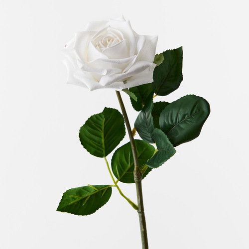 Fresh Touch Rose Clara White 60cml #FI8906WH - Each 