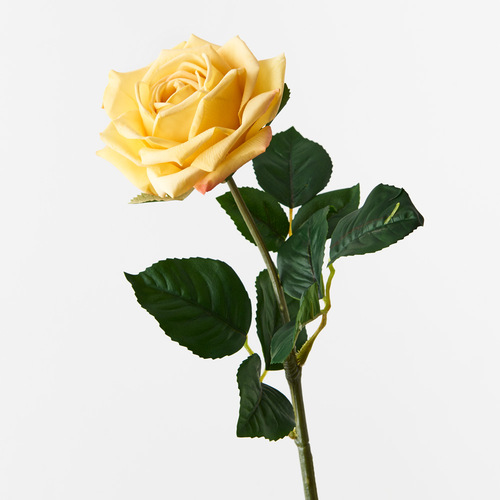 Fresh Touch Rose Clara Yellow 60cml #FI8906YE - Each TEMPORARILY UNAVAILABLE 