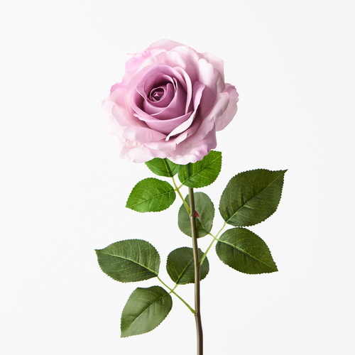 Fresh Touch Rose Holly Lavender 78cml #FI8939LV - Each