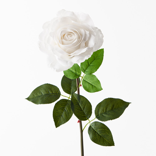 Fresh Touch Rose Holly Winter White 78cml #FI8939WW - Each