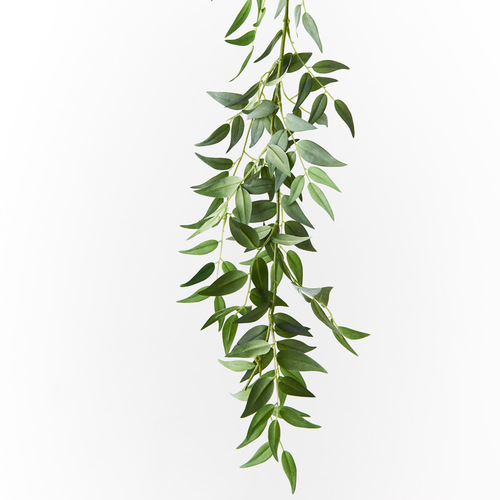 Ruscus Italian Garland Grey Green 183cml  #FI8951GY - Each (Upkgd.) 