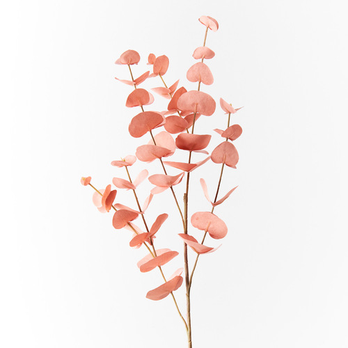 Eucalyptus Silver Dollar Dusty Pink 86cml #FI8959DP - Each