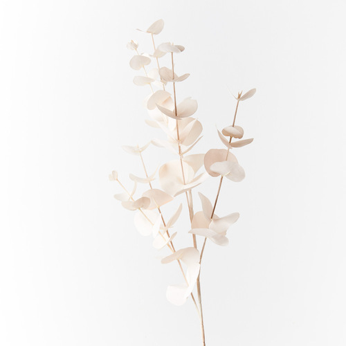 Eucalyptus Silver Dollar Ivory 86cml #FI8959IV - Each