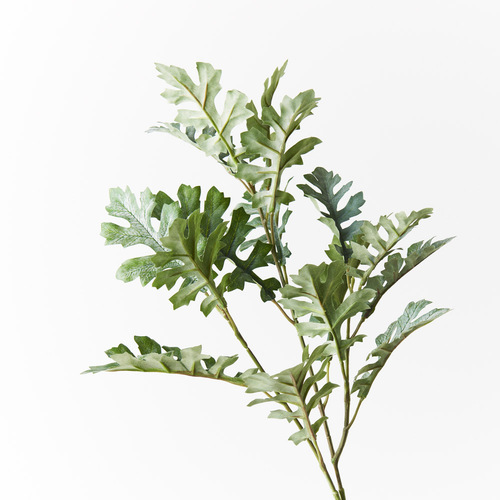Dusty Miller Spray Grey Green 66cml #FI8986GY- Each