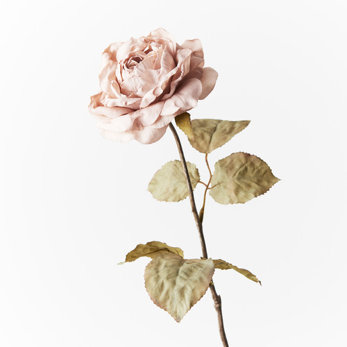 Rose Celeste Dusty Pink 56cml #FI8993DP - Each (Unpkgd) 