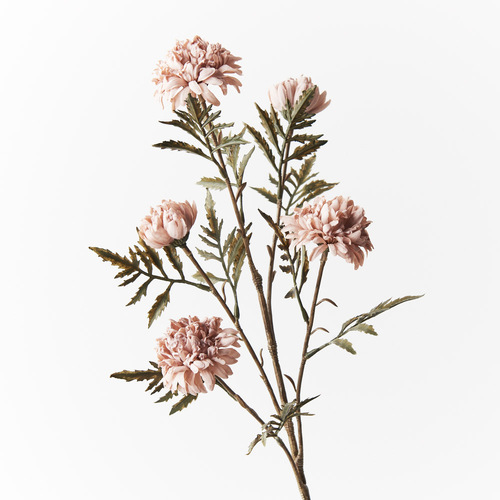 Chrysanthemum Celeste Spray Dusty Pink 61cml #FI8996DP - Each 