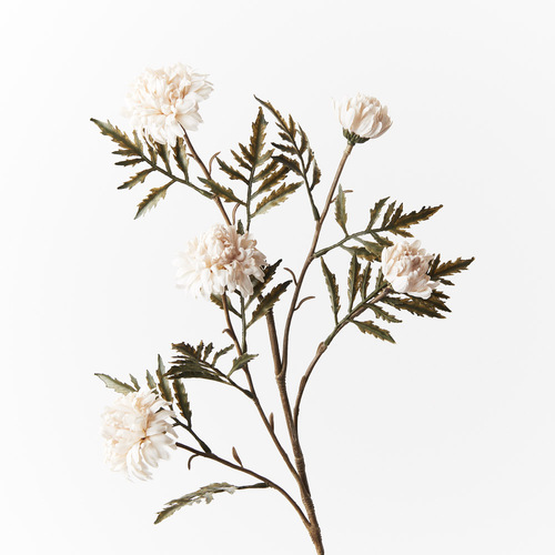 Chrysanthemum Celeste Spray Ivory 61cml #FI8996IV - Each 