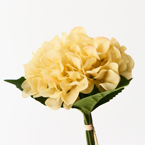 Hydrangea Bouquet Yellow 25cml #FI9150YE - Each (Upkgd.)