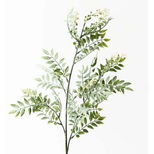 Wattle Leaf Spray Cream 74cm #FI9154CR - Each (Unpkgd)