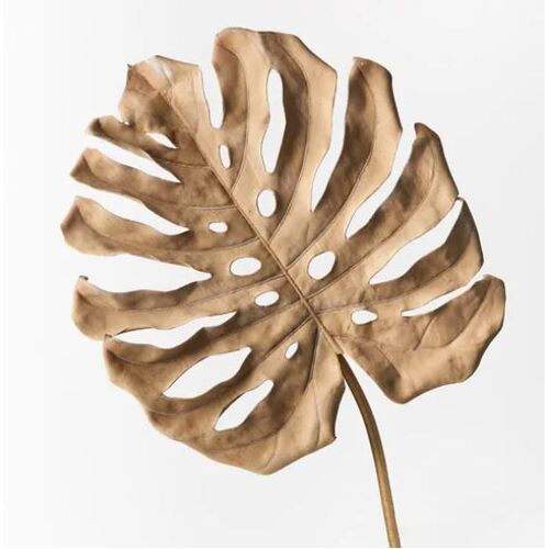 Monstera Leaf Cream Brown 92cm #FI9156CB - Each (Unpkgd)