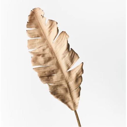 Palm Leaf Cream Brown 89cml #FI9157CB - Each (Upkgd.) 