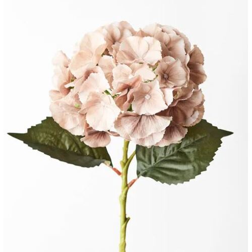 Hydrangea Coffee 52cml #FI9360CF - Each
