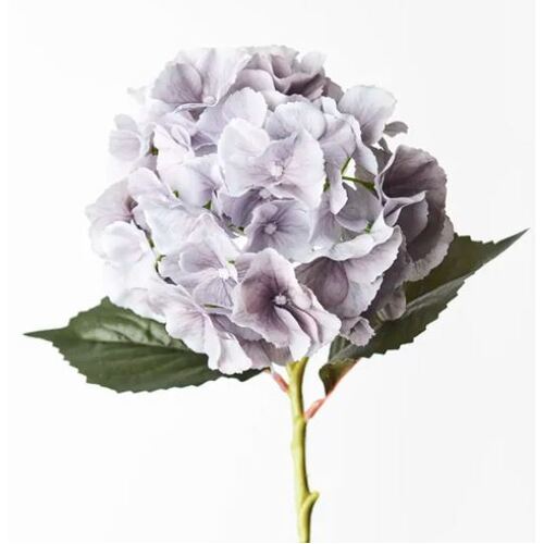 Hydrangea Grey 52cml #FI9360GY - Each