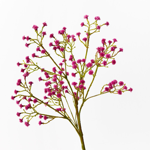 Babys Breath Spray Fuschia 66cm #FI9365FU - Each (Unpkgd) 