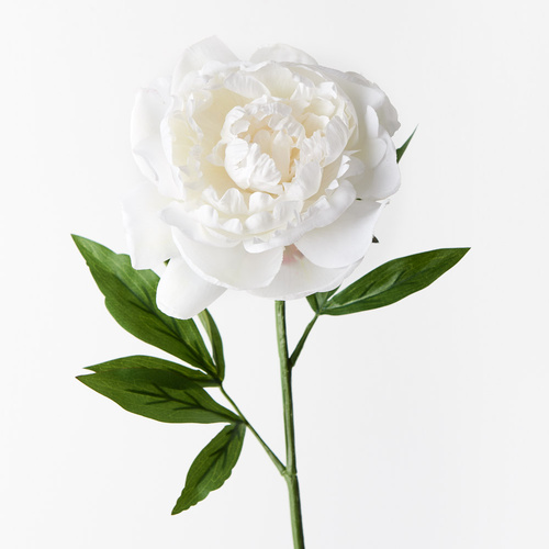 Peony White 63cml #FI9478WH - Each