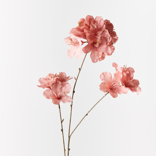 Azalea Spray Pink 86cml FI9675PK - Each (Unpkgd)