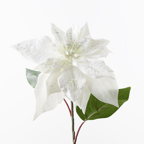 Christmas Poinsettia Stem Velvet White 71cml #FI9852WH - Each SOLD OUT 2024