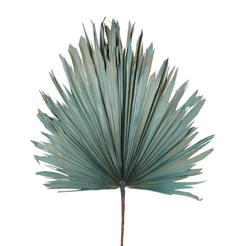 Dried Real Palm Blue 60cml #FLP214BL - Each (Upkgd.)