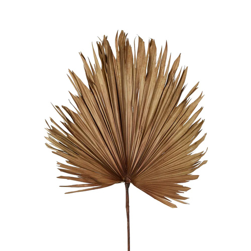 Dried Real Palm Brown 60cml #FLP214BR - Each (Upkgd.) TEMPORARILY UNAVAILABLE