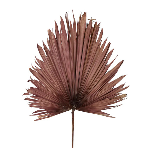 Dried Real Palm Pink 60cml #FLP214P - Each (Upkgd.)
