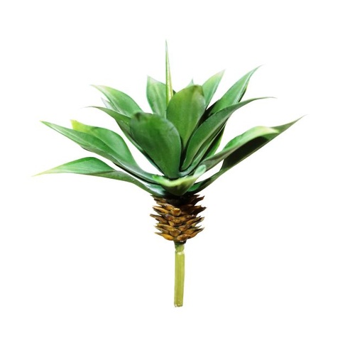 Succulent Pine Top Agave 12cm #S3447NAT - Each (Upkgd.)