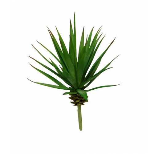 Succulent Pine Top Spikey 19cm #S3448NAT - Each (Upkgd.)