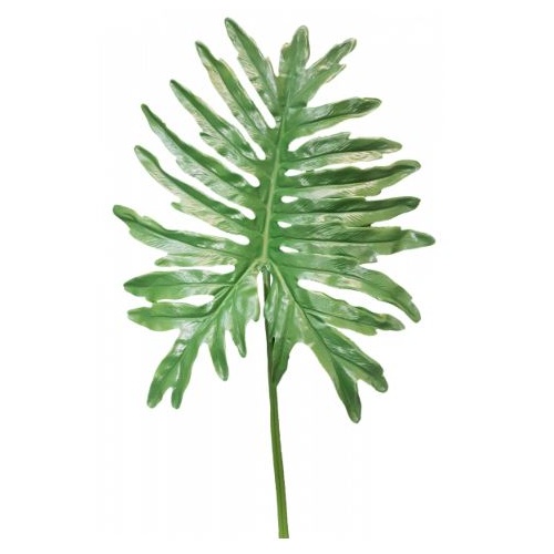 Philodendron Selloum Leaf 104cm Long #S9948GRN - Each (Upkgd.)  TEMPORARILY UNAVAILABLE