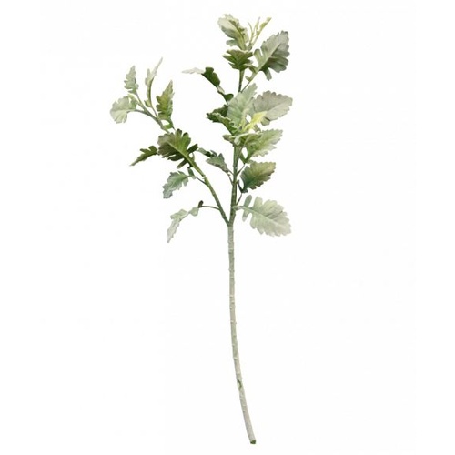 Dusty Miller Spray 71cm #S5838GRN - Each (Upkgd.) TEMPORARILY UNAVAILABLE 