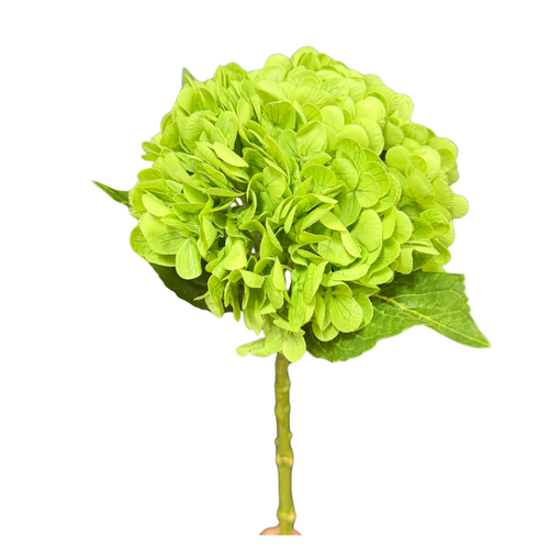 Hydrangea Green Fresh Touch 50cml #SB4108GRN - Each