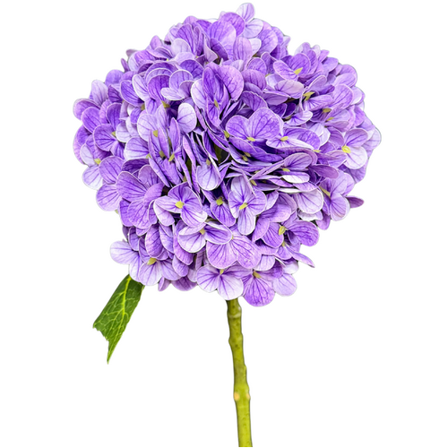 Hydrangea Purple Fresh Touch 50cml #SB4108PUR - Each