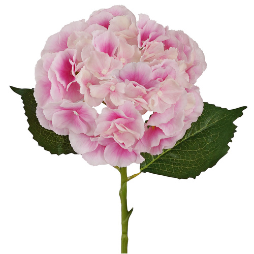 Hydrangea Pink Fresh Touch 49cml #SW1791PNK3 - Each